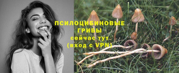 кокаин VHQ Каменка