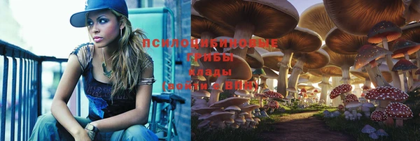 тгк Арсеньев
